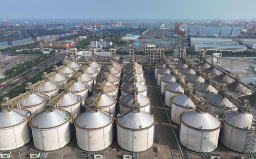 耕好无形粮田 从夏粮主产区看全链条节粮减损路径